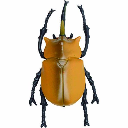 カブトムシ おもちゃ 立体甲虫図鑑 世界のカブトムシ : e カブトムシ おもちゃ 立体甲虫図鑑 世界のカブトムシ : e
