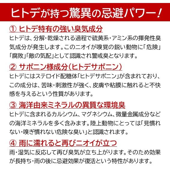撃退パンチ ヒトデ忌避剤 10kg  害獣 害鳥 害虫 対策 駆除 イノシシ シカ モグラ ハクビシン アライグマ アナグマ タヌキ カラス ハト ネズミ カメムシ ムカデの画像