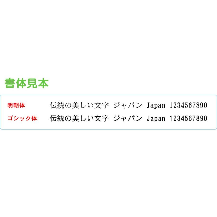 新元号 ゴム印 中サイズＢ ２点セット 8mm角 平成 訂正印 元号 ハンコ 修正 二重線｜ep-insho｜02