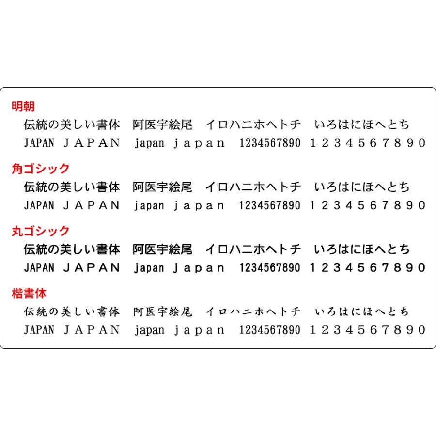 フリーテキスト スタンプ (中) 45mm×13mm スキナスタンプ 事務用品 自由な文字 キャップレス  オーダーメイド｜ep-insho｜06