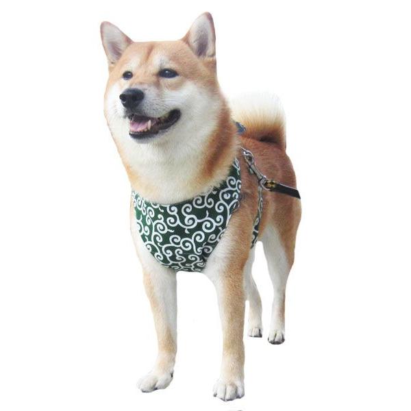 犬服型紙 クールエプロン 中型犬用Mサイズ テキスト付き : e