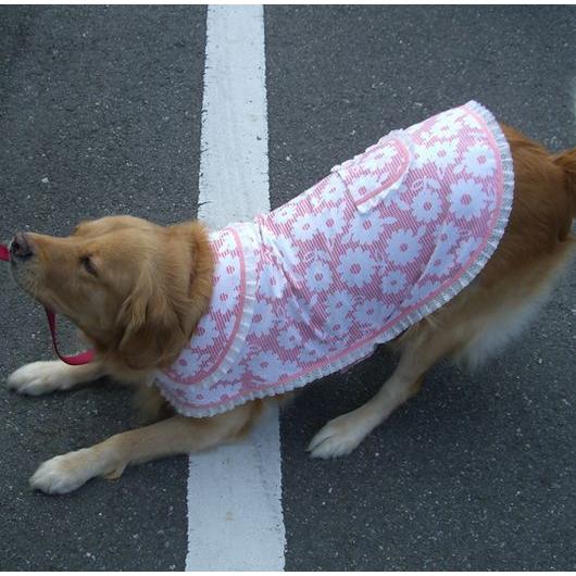 型紙 パターン 犬服 おしゃれケープ型紙 大型犬用 テキスト付き Pco 005 R Eパターン コレクション ヤフー店 通販 Yahoo ショッピング