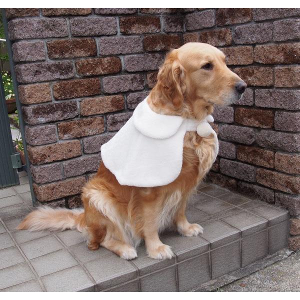 犬服型紙 ケープ 大型犬用 テキスト付き Pco 015r Eパターン コレクション ヤフー店 通販 Yahoo ショッピング