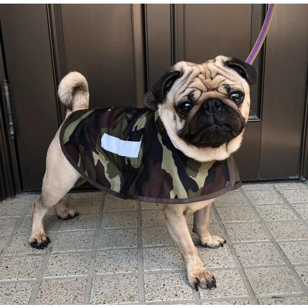 犬服型紙 レインコート 小型犬 小型犬ロング 中型犬用 テキスト付き Pco 017 Eパターン コレクション ヤフー店 通販 Yahoo ショッピング