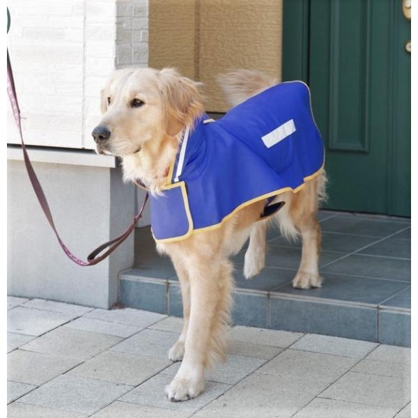 犬服型紙 レインコート 大型犬用 テキスト付き Pco 017r Eパターン コレクション ヤフー店 通販 Yahoo ショッピング