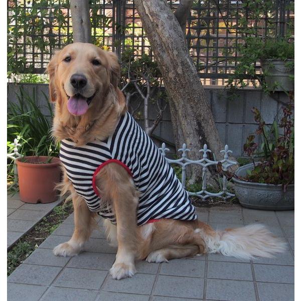 犬服型紙 タンクトップ（パイピング仕様） 大型犬用 テキスト付き : e