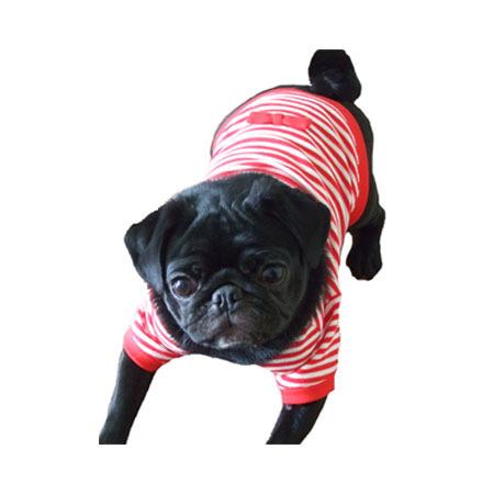犬服型紙 Tシャツ 小型犬 小型犬ロング 中型犬用 テキスト付き : e