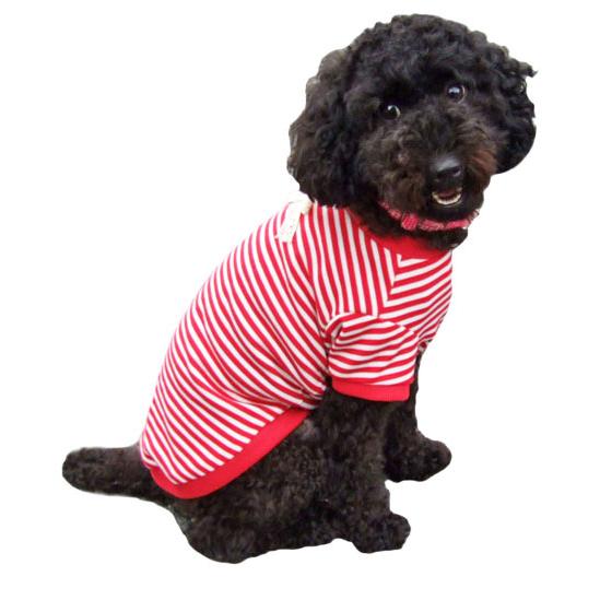 犬服型紙 Tシャツ 小型犬 小型犬ロング 中型犬用 テキスト付き