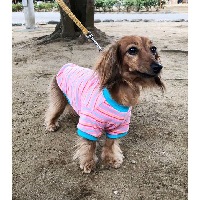 ハンドメイド　カットソー　オーダー小型犬 ハンドメイド カットソー オーダー小型犬