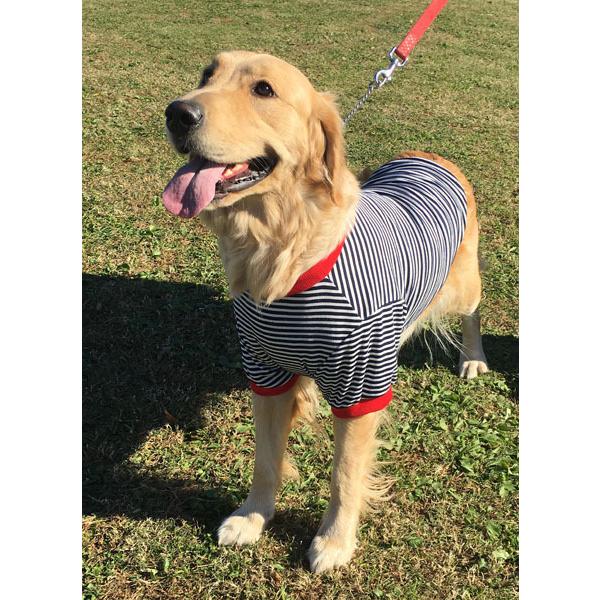 犬服型紙 Tシャツ 大型犬用 テキスト付き : eパターン コレクション