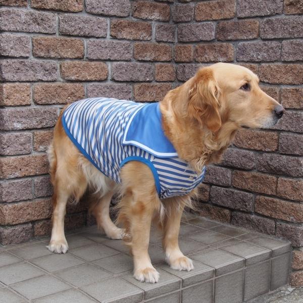 犬服型紙 セーラーカラータンクトップ 大型犬用 テキスト付き : e
