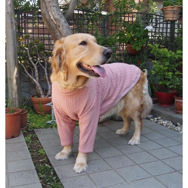 犬服型紙 ハイネック長袖Tシャツ 大型犬用 テキスト付き : eパターン