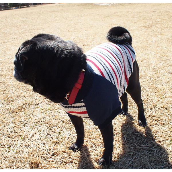 犬服型紙 ラグランTシャツ 小型犬 小型犬ロング 中型犬用 テキスト付き