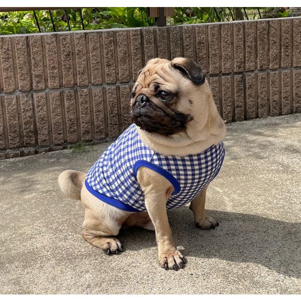 ハンドメイド犬服　【再販】ふんわりタンクトップ　リブニット★お袖変更可能 犬服型紙 タンクトップ（リブ仕様） 小型犬 小型犬ロング 中型犬用