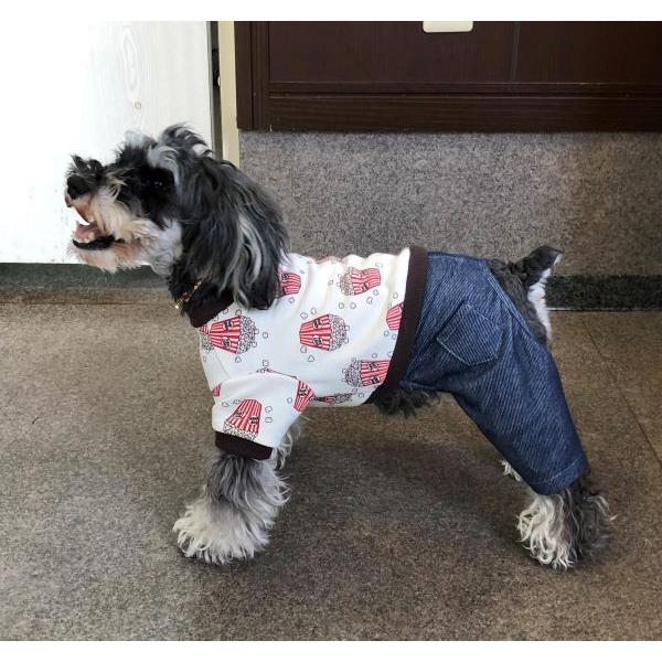 犬服型紙 カバーオール つなぎ 小型犬 小型犬ロング 中型犬用 テキスト付き Ppt 011 Eパターン コレクション ヤフー店 通販 Yahoo ショッピング