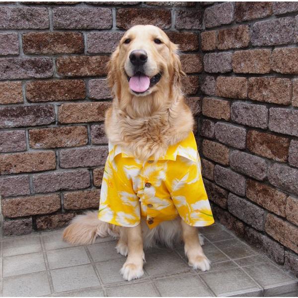 犬用Tシャツ ２着セット 日本製　e happy aloha 犬用Tシャツ 2着セット 日本製 George happy aloha