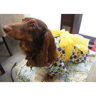 犬服型紙 浴衣 小型犬用 テキスト付き Pyu 002 Eパターン コレクション ヤフー店 通販 Yahoo ショッピング