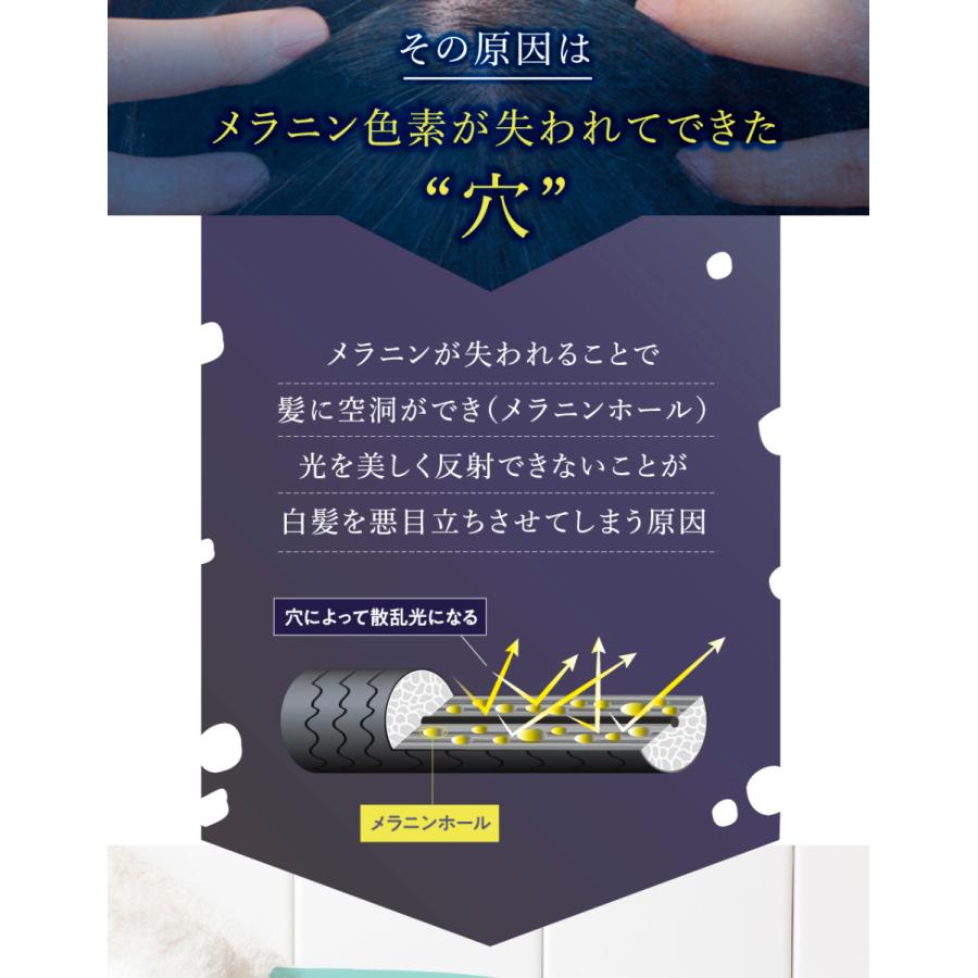 Racine グレイヘアシャンプー 500ml ラシーネ グレイヘア シャンプー 白髪 白髪染め サロン品質 美容室 美容院 サロン専売 Racine 001 Beautiful Toy Box ヤフー店 通販 Yahoo ショッピング