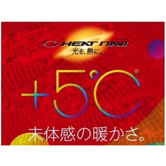 DESCENTE（デサント） DESCENTE＜2020＞DWMOJK74 スキーウェア S.I.O