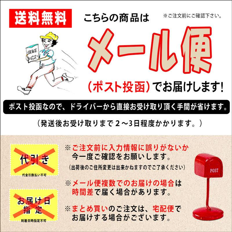 K 国産 アシタバ 粉末 (60g) 東京・徳島県産 明日葉 (放射能検査済・残留農薬検査済) 北海道 沖縄 離島も無料配送可 森のこかげ 売筋粉｜epicot｜02