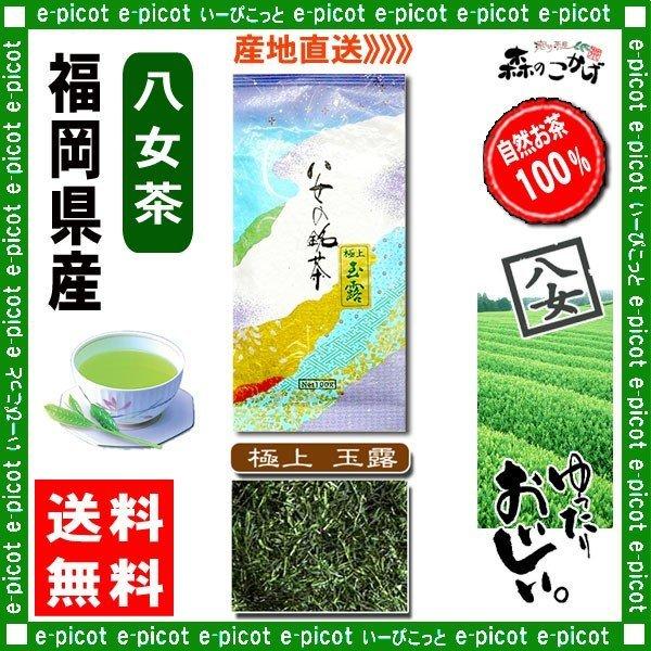 Y 極上 玉露茶 100g 八女茶 福岡県産 日本茶 厳選の緑茶 国産 北海道 沖縄 離島も無料配送可 森のこかげ やめ茶｜epicot｜02