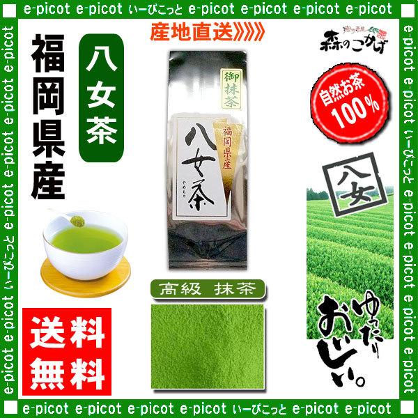 抹茶 100g【森のこかげ】 福岡県 八女茶 森のこかげ Y 高級 抹茶 100g 八女茶 福岡県産 日本茶 厳選の緑茶 国産