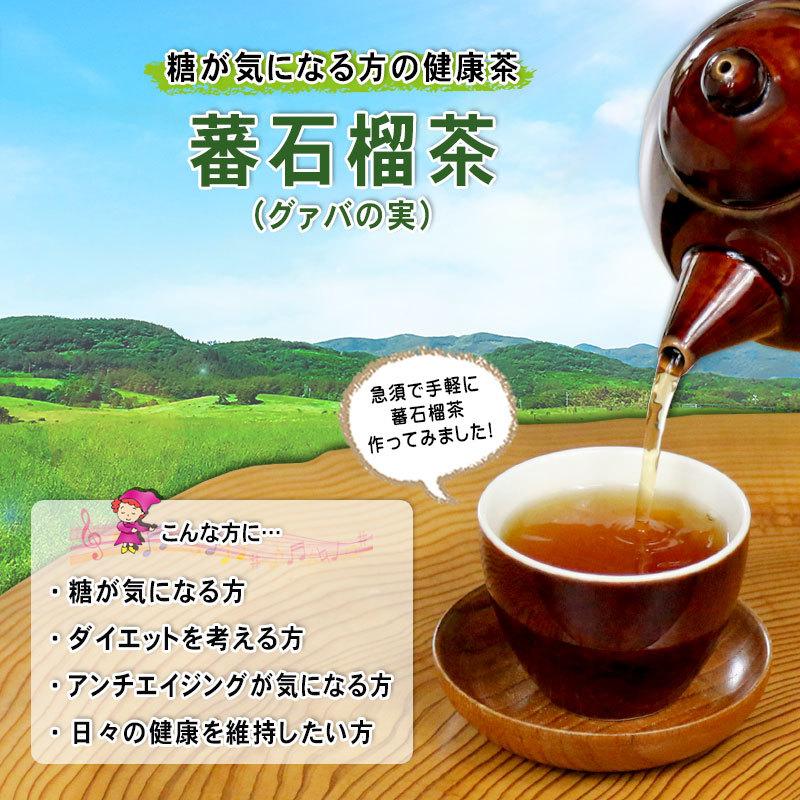 5 蕃石榴茶 グァバの実 (300g) (残留農薬検査済) 北海道 沖縄 離島も無料配送可 バンザクロ 業務用 森のこかげ 健徳T｜epicot｜02