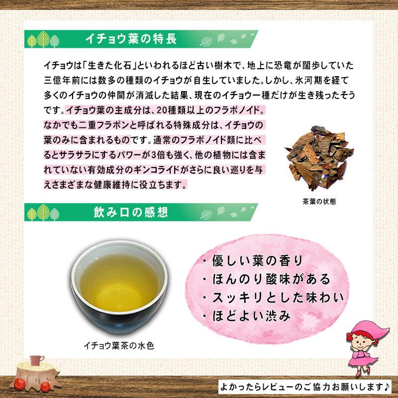 3 イチョウ葉茶 3g×100p ティーバッグ お徳用 銀杏茶 銀杏葉茶 (残留農薬検査済) 北海道 沖縄 離島も無料配送可 森のこかげ 健康TB 健徳T｜epicot｜03