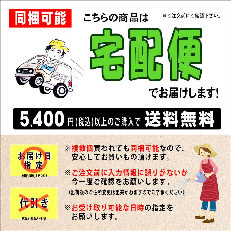 S サラシア茶 1kg 業務用 コタラヒム茶 さらしあ茶 森のこかげ 売れ筋 健リフ | 森のこかげ | 06