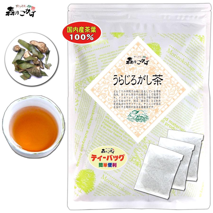 2 国産 うらじろがし茶 3g×35p 徳島・愛媛県産 ウラジロガシ茶 (自然栽培・残留農薬検査済) 北海道 沖縄 離島も無料配送可 森のこかげ 健少T | 森のこかげ