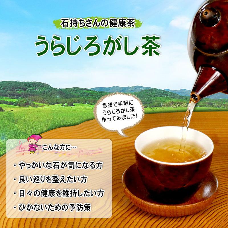 2 国産 うらじろがし茶 3g×35p 徳島・愛媛県産 ウラジロガシ茶 (自然栽培・残留農薬検査済) 北海道 沖縄 離島も無料配送可 森のこかげ 健少T | 森のこかげ | 01