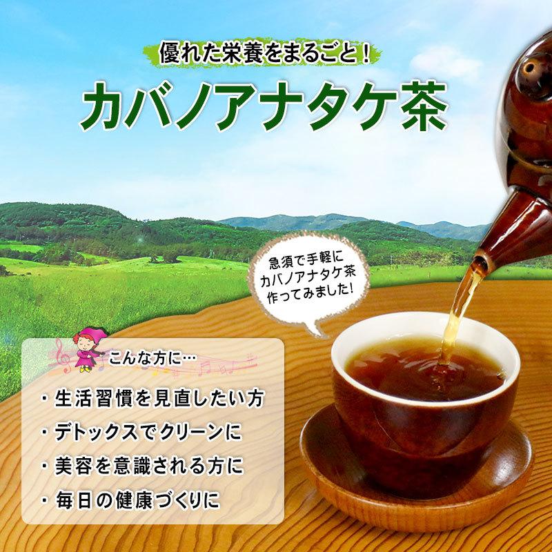 森のこかげ 2 カバノアナタケ茶 2g×50p チャーガ茶 キノコ茶 ティー