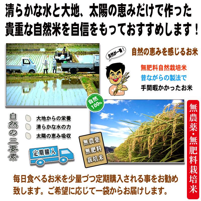 R 森のこかげ 2023 新米 健やか穂米 1kg 玄米 白米 無農薬 無肥料米 福岡県産 筑後市 自然米 穂米｜epicot｜05