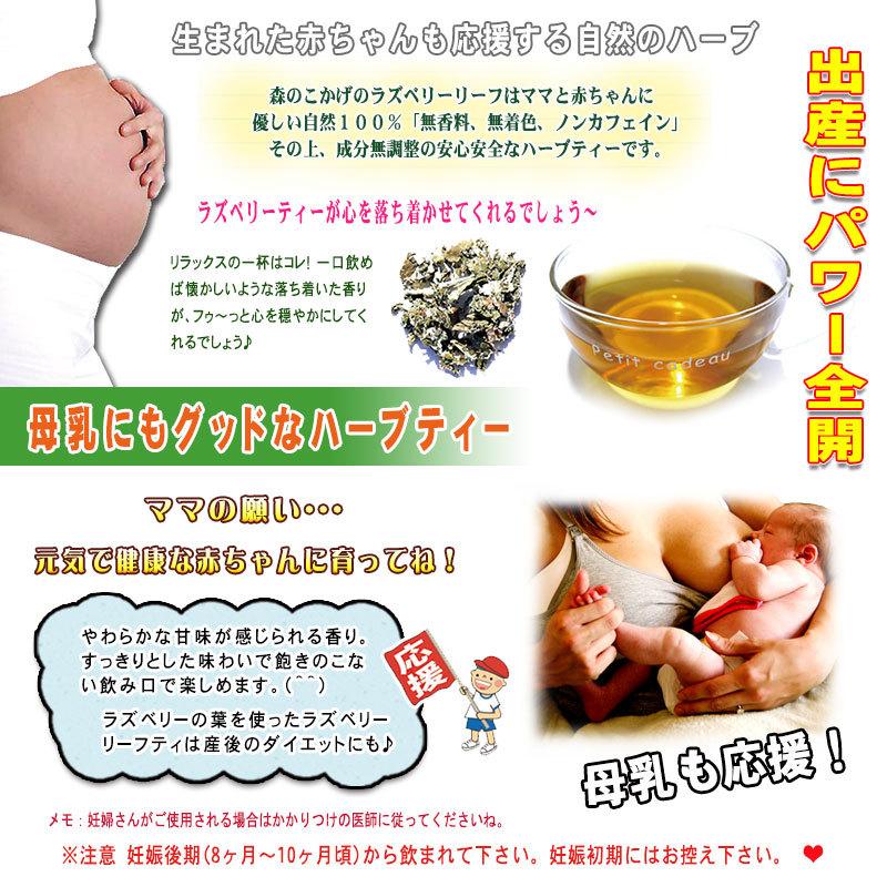 ラズベリーリーフティー 60パック ティーバッグ 送料無料 森のこかげ マタニティー ハーブティー Raz 60p いーぴこっとヤフーショップ 通販 Yahoo ショッピング