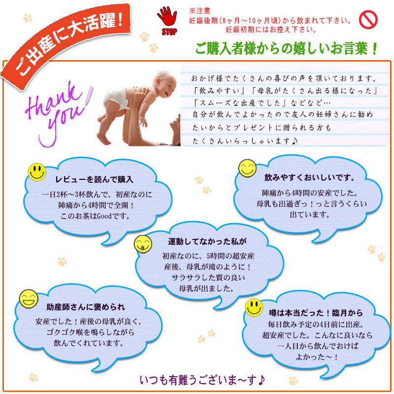 ラズベリーリーフティー 60パック ティーバッグ 送料無料 森のこかげ マタニティー ハーブティー Raz 60p いーぴこっとヤフーショップ 通販 Yahoo ショッピング