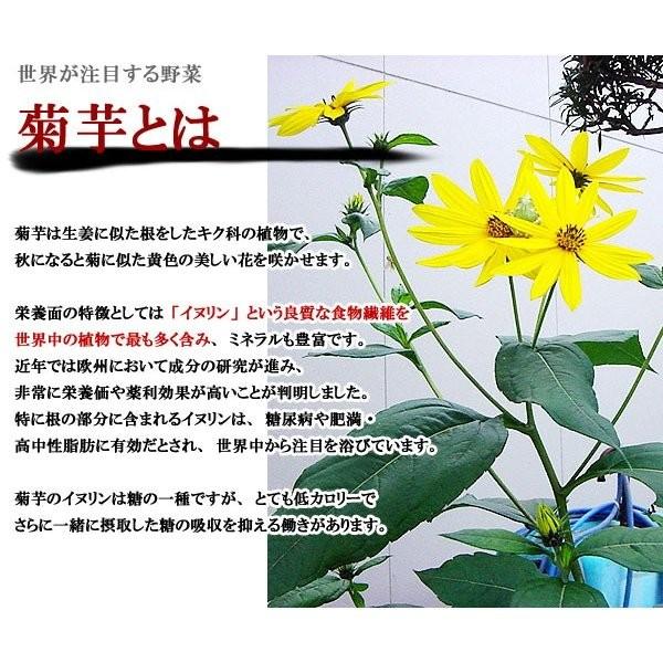 焙煎 菊芋 粉末 国産 キクイモ 菊芋パウダー Dish 31 ホテルエピナール那須 Yahoo 店 通販 Yahoo ショッピング