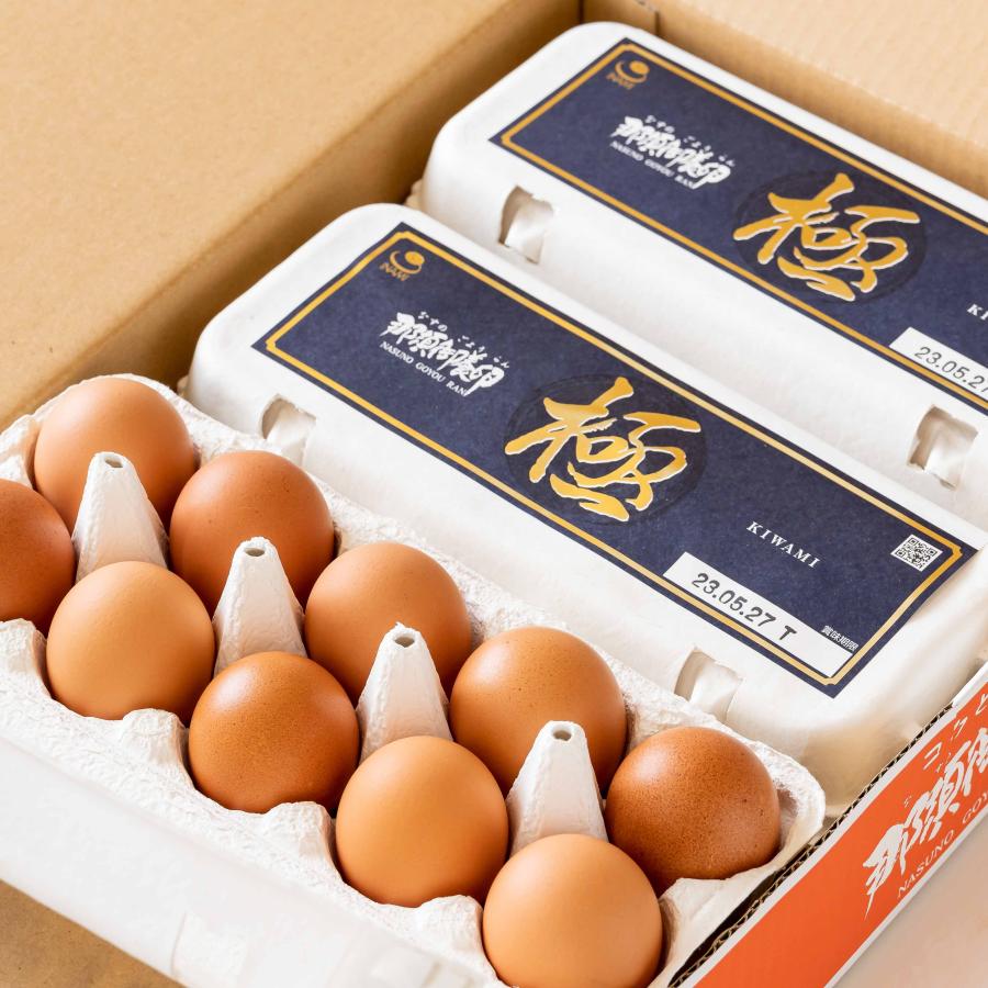 卵 鶏卵 ブランド卵 稲見商店 ご予約品 30個入 低廉 特選 極 那須御養卵