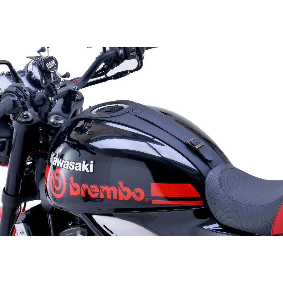 プロト バグスター タンクパネル Z900RS 18-22 : エピックス - 通販