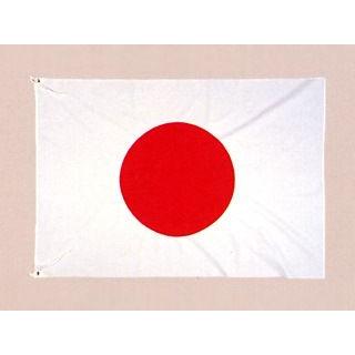 国旗　2m70cm×4m5cm