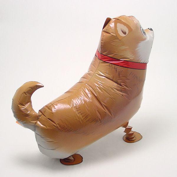 散歩風船 犬 : イベント用品販売店 - 通販 - Yahoo!ショッピング 散歩風船 犬 : イベント用品販売店 - 通販 - Yahoo!ショッピング