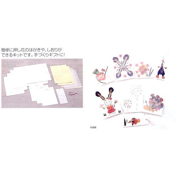 値引 工作キット 手作り押し花 まとめ買い80セット その他キッチン 日用品 文具