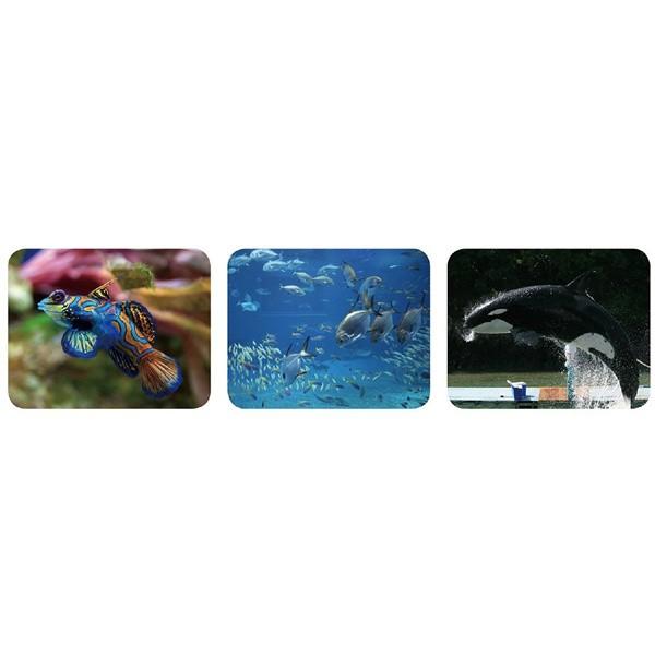 知育玩具　子供プロジェクター　水族館　まとめ買い40セット_3