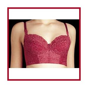 エルローズ製補正下着 PASIO【パシオ】 セミロングブラジャー E エルローズ製補正下着 PASIO【パシオ】 セミロングブラジャー E