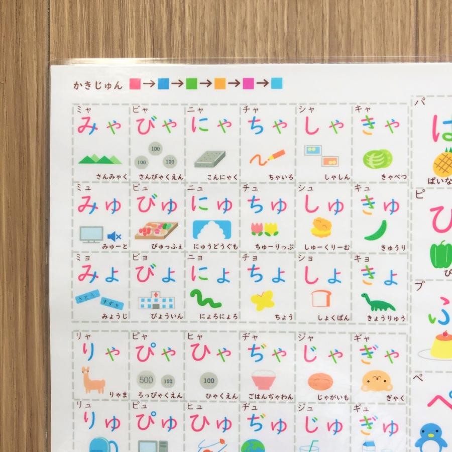 年間定番 サイズ カタカナポスター 濁音 半濁音 拗音 書き順色分け カタカナ表 お風呂ポスター 学習ポスター 防水 Materialworldblog Com