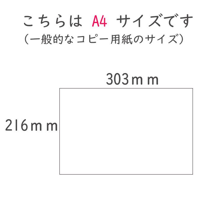 A4　日本地図ポスター　社会　都道府県一覧　県庁所在地　防水｜epreshop｜04