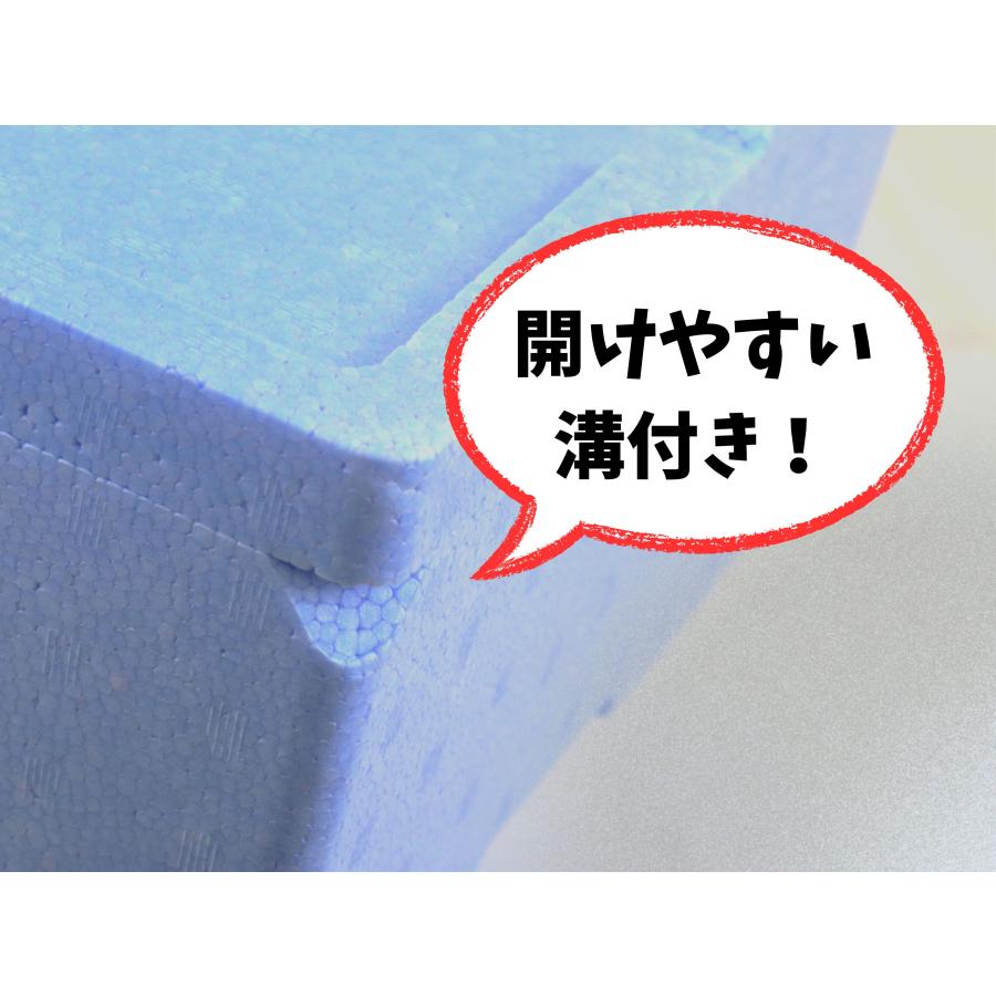 発泡スチロール箱 9.5L 20個セット 法人限定 青色 フタ付 保冷 断熱