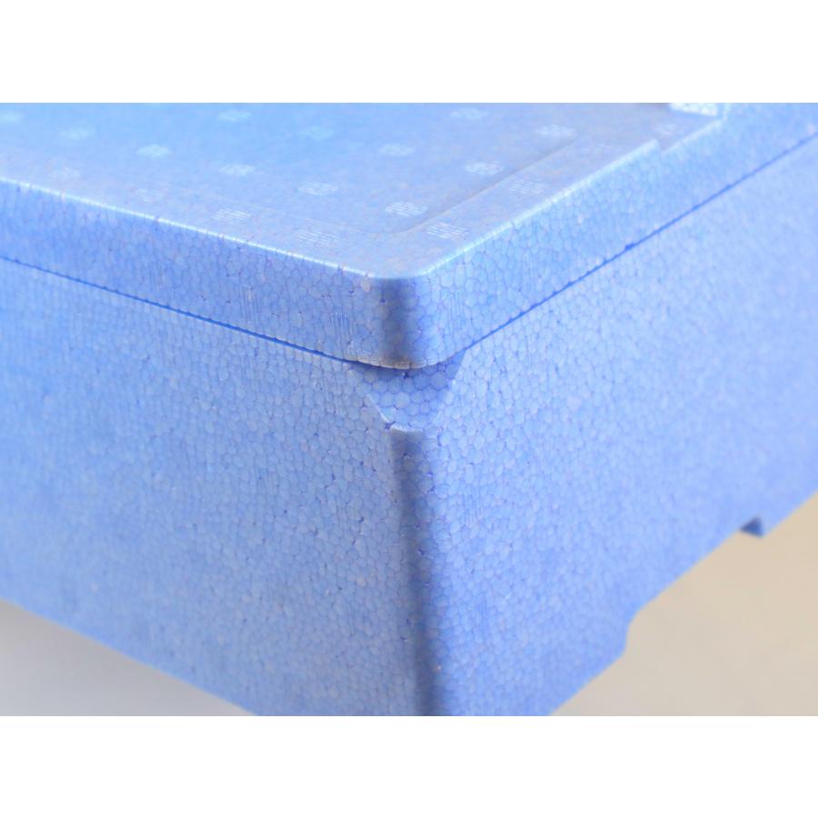 発泡スチロール箱 8.5L 20個セット 法人限定 青色 フタ付 保冷