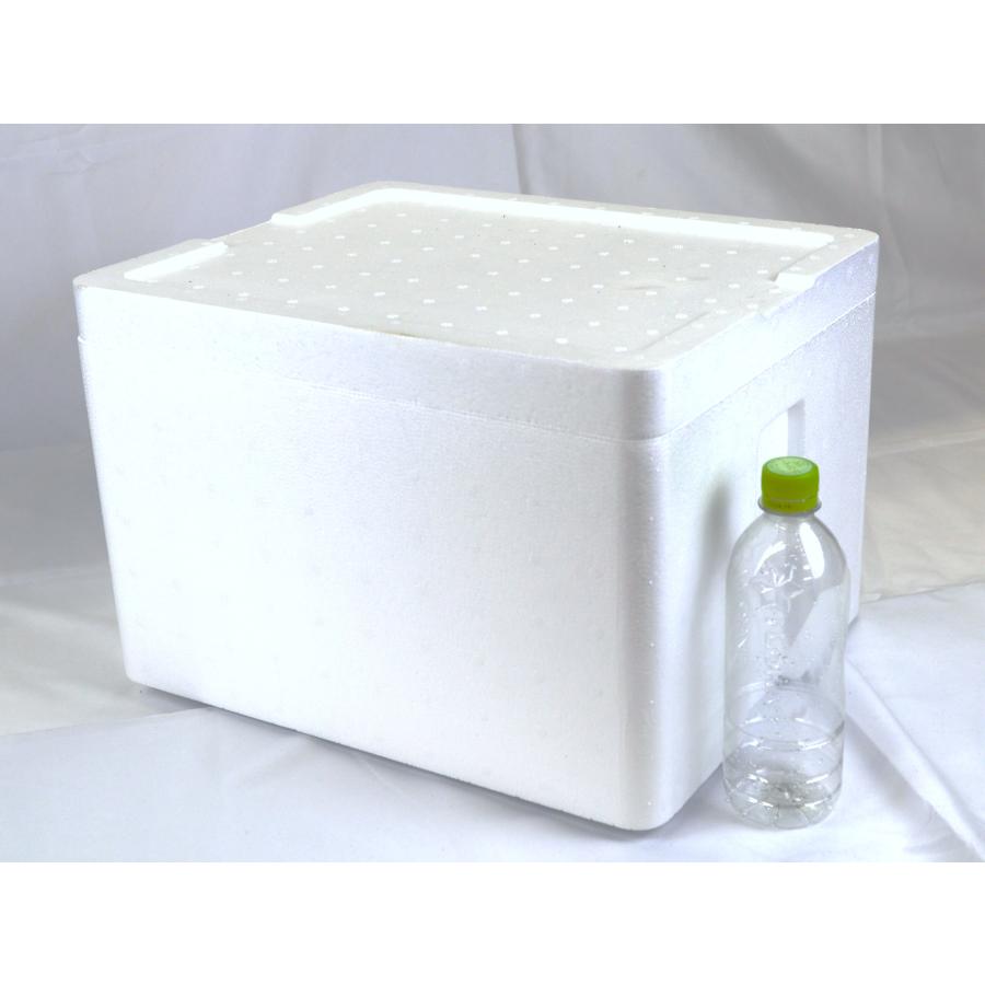 クーラーボックス 発泡スチロール箱 大型 通販 保冷 断熱 梱包材 軽量