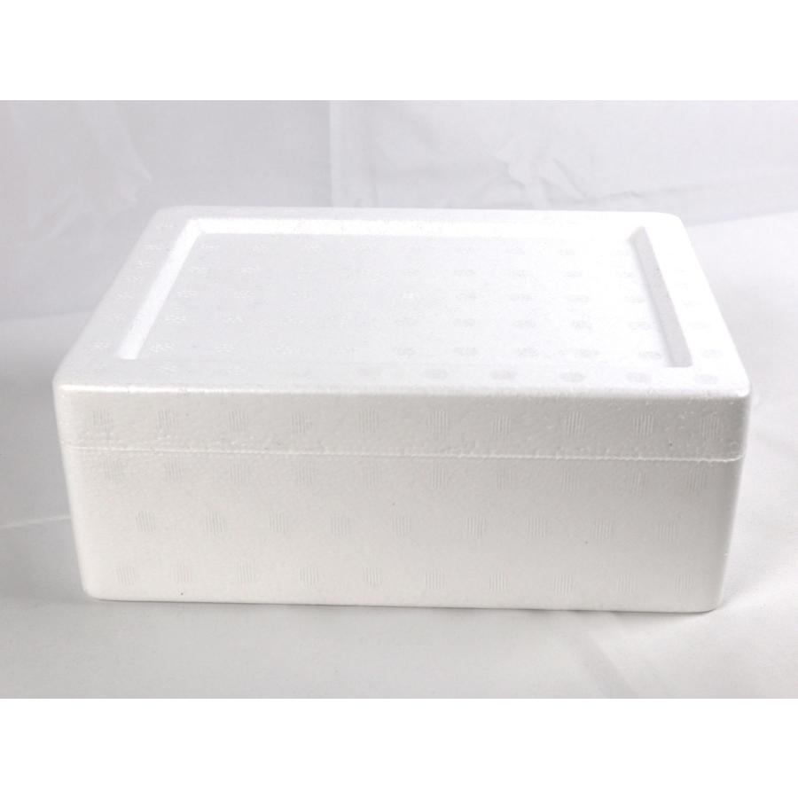 宅急便 発泡スチロール梱包 宅急便 発泡スチロール梱包 宅配60サイズ】クール便での発送に