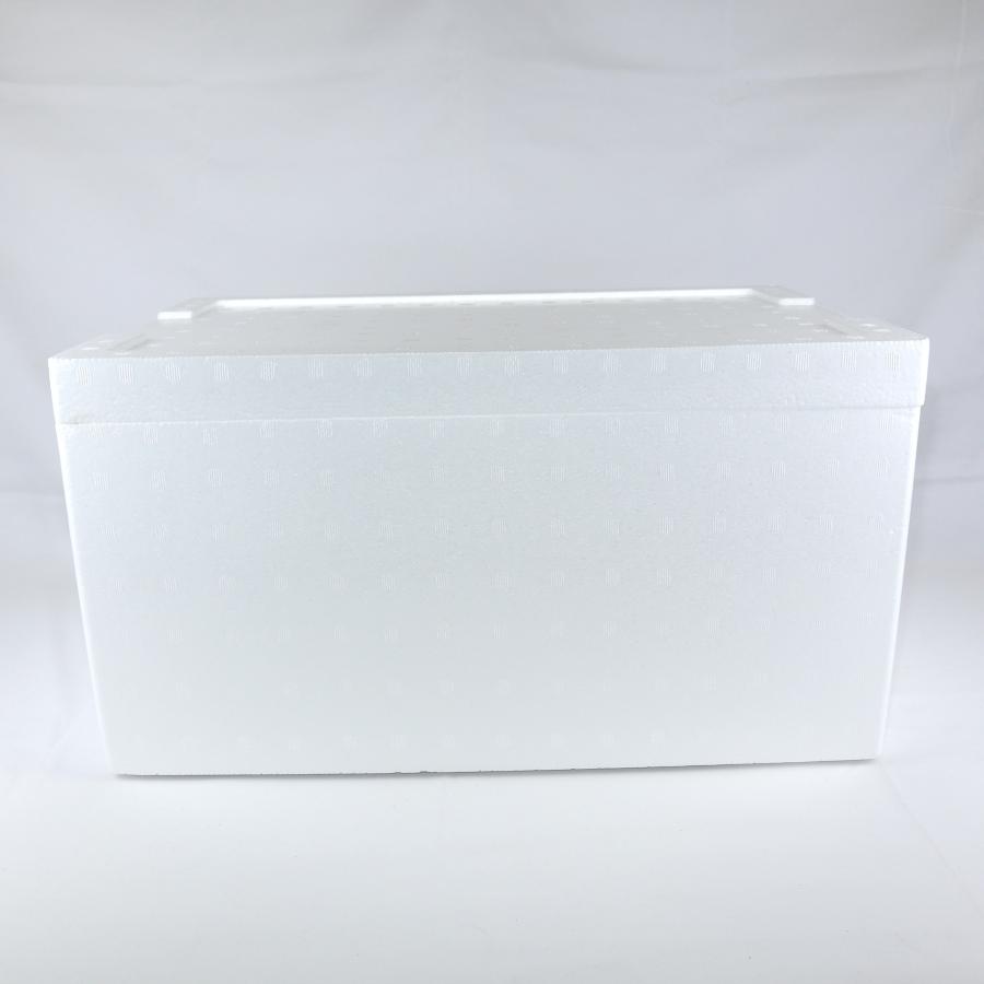 宅急便 発泡スチロール梱包 クーラーボックス 発泡スチロール箱 大型 通販 保冷 断熱 梱包材